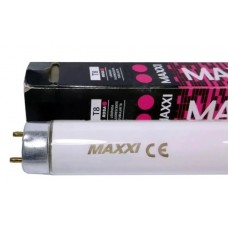16267 - LAMPADA MAXXI T8 ROSA 36W