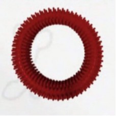 21675 - ANEMONA COL. BIG VERMELHO