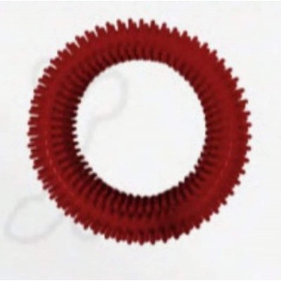 ANEMONA COL. BIG VERMELHO
