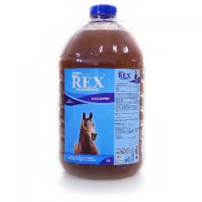 SHAMPOO REX GALLOPER 5 LTS