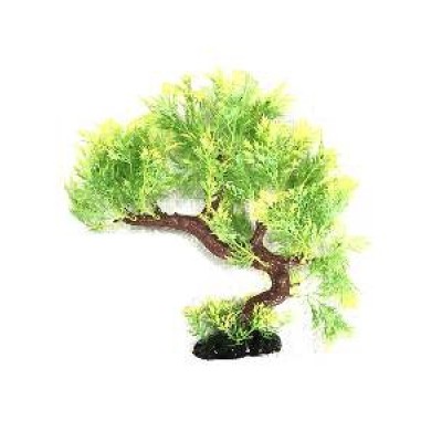 PLANTAS KA-9 MAXXI 22,5 CM BONSAI