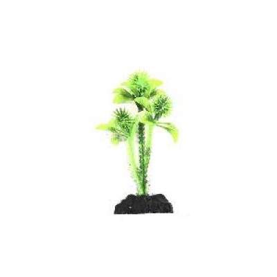 PLANTAS AP-4 MAXXI 10 CM