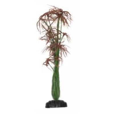 PLANTAS AP-12 MAXXI 30 CM