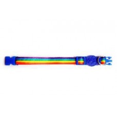 17673 - COLEIRA P/CAES ARCO IRIS G (25MM 65CM)