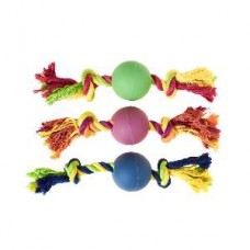 18620 - DENTAL BONE COM BOLA TPR SORTIDO